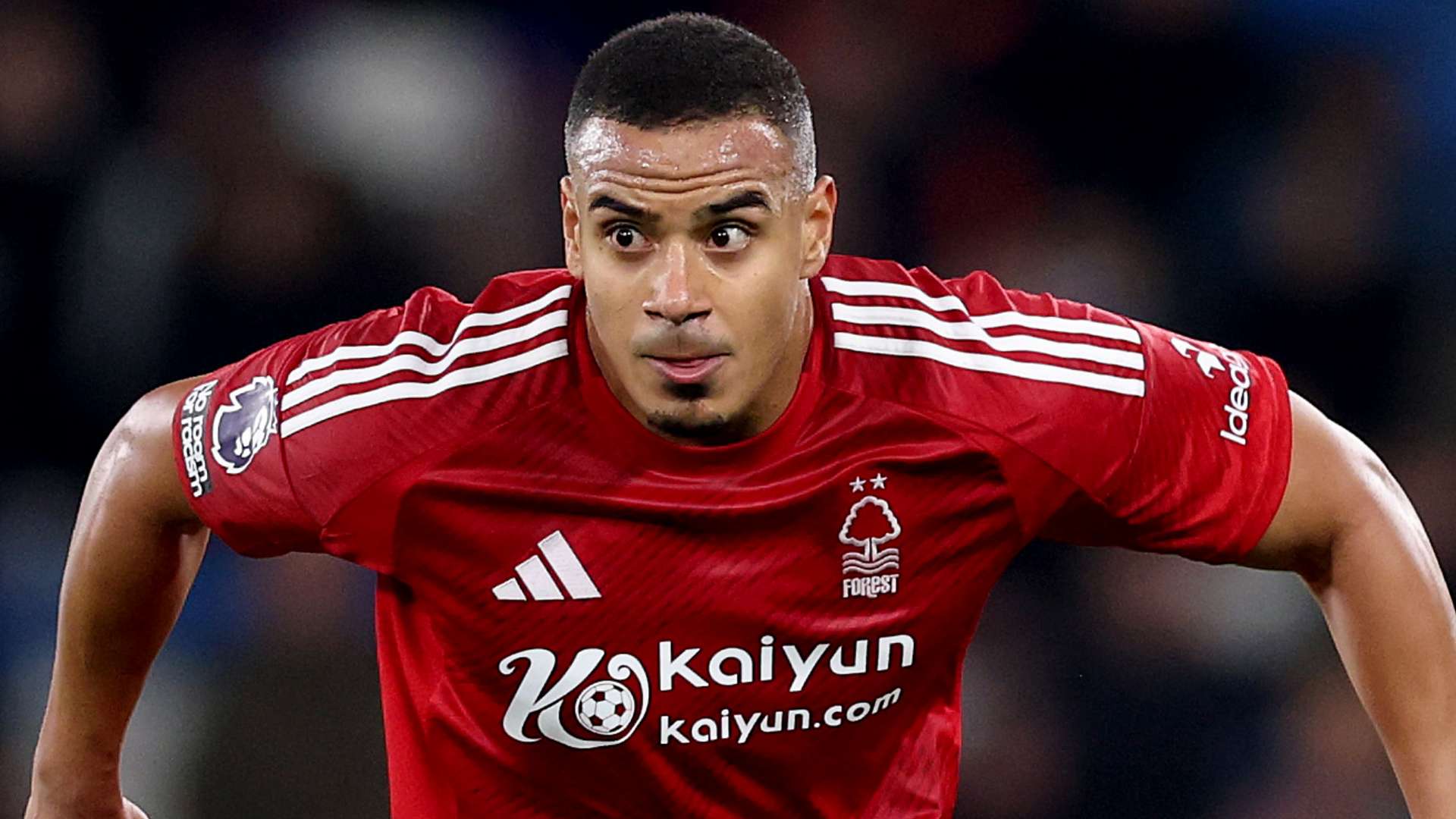 波爾圖可能 波爾圖可能