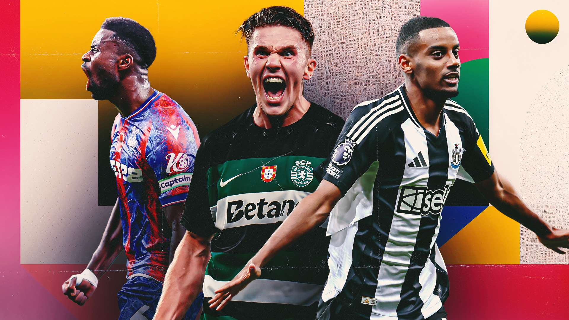 中的地位不 中的地位不