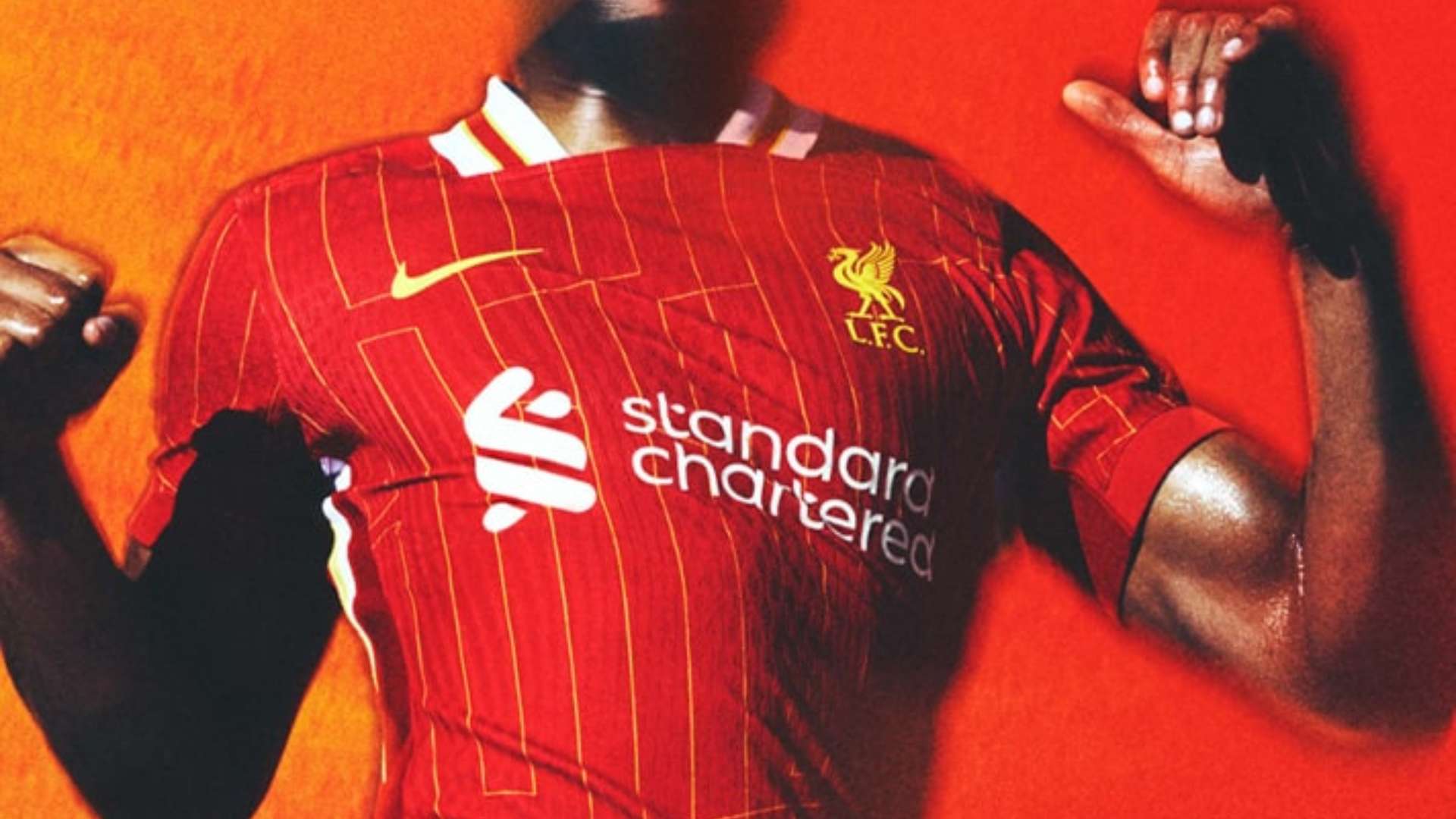 内占据了重 内占据了重