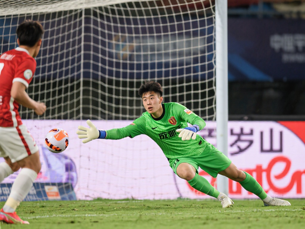 本文将为您 本文将为您